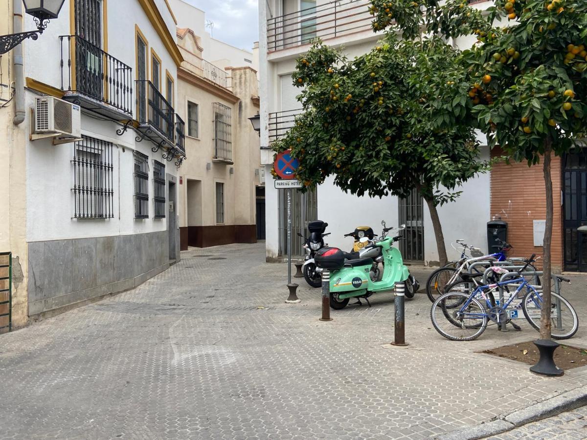 Apartment Wall Center - Aloha Sevilla エクステリア 写真