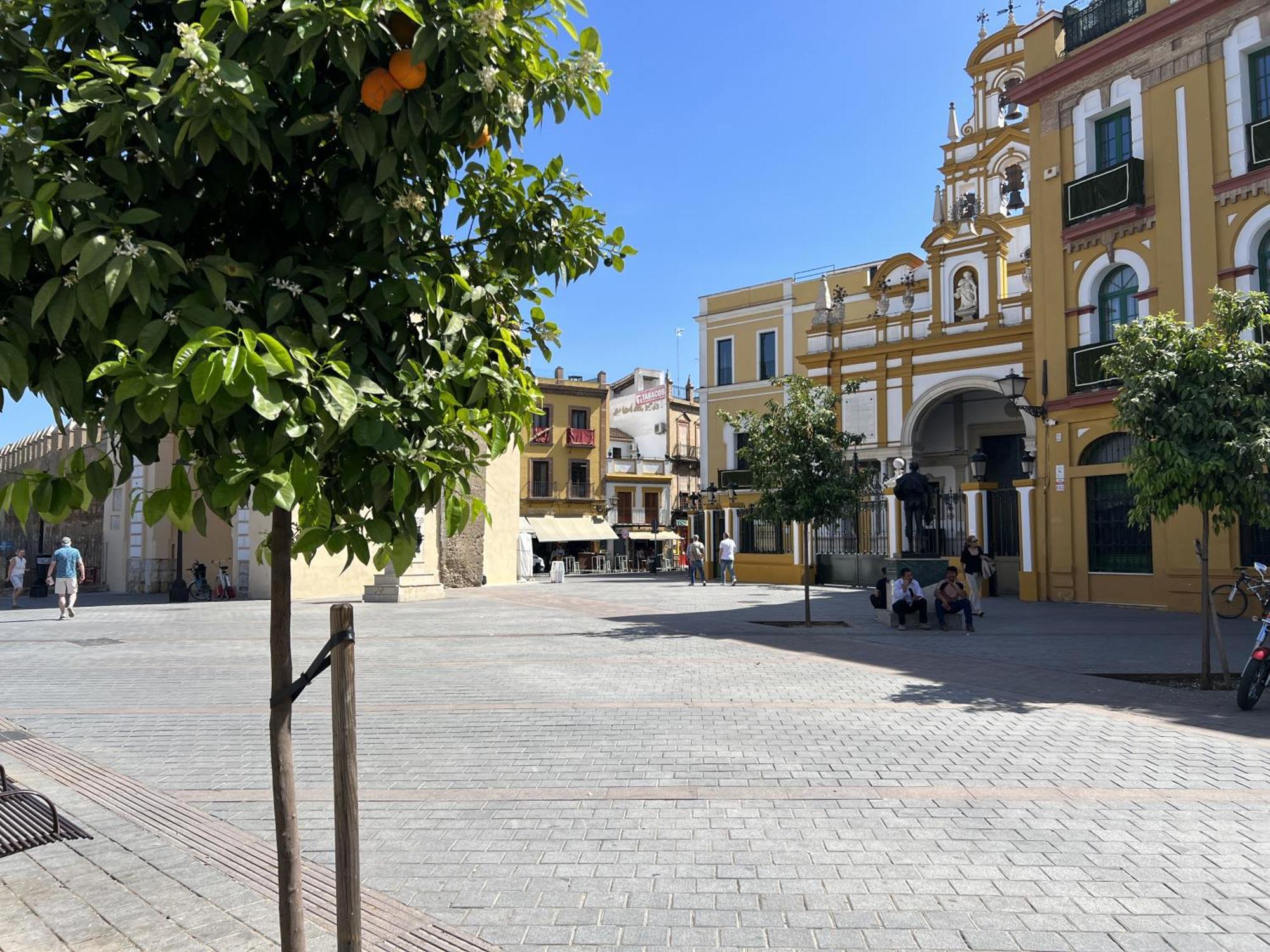 Apartment Wall Center - Aloha Sevilla エクステリア 写真